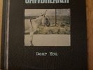 JAWBREAKER Dear You LP Original Limited 1st Press DGC SWIRLED BLUE VINYL 1995 12