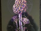 Blut Aus Nord - Hallucinogen 2019 Ltd Ed. LP  PURPLE Vinyl  w/Inserts Near Mint