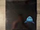 Kind Of Like Spitting - In The Red (Black Vinyl) Alternative, Indie Rock