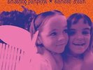 Smashing Pumpkins- Siamese Dream (Vinyl New)