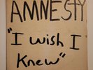 AMNESTY I Wish I Knew CRITERIA Rock + Psych LP Acetate - Unreleased? HEAR