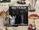 SPAZZ / 25 TA LIFE Split 7
