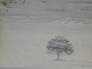 2 VINILI GENESIS Wind and wuthering e A trick of the tail
