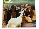 The Beach Boys – Pet Sounds Vinyl - VG