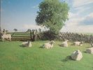 The KLF / Chill Out 1990 UK ORIGINAL LP KLF Communications Records JAMS LP5