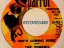 PROMO 45 The Zombies 