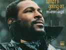 Marvin Gaye - What's Going on [New Vinyl LP] 180 Gram, Reissue FREE SHIPPING