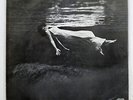 BILL EVANS UNDERCURRENT UNITED ARTISTS GXC3128 JAPAN VINYL LP