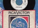 The Dynamics I Need Your Love Me RCA Victor 47-9084 DJ 45 Record Detroit Soul M-