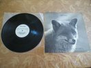 Rävjunk ‎– Uppsala Stadshotell Brinner LP 1977 Sweden EX/VG
