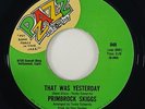 Primbrock Skiggs 
