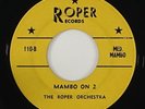 Roper Orchestra 