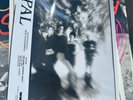 Opal - Happy Nightmare Baby Vinyl LP RARE promo with PRESS RELEASE, PHOTO & SST