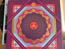Grateful Dead Cornell & Capitol Theatre SPRING 1977 east coast double box set