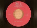 The Shy Guys  Goodbye To You/Black Lightening Light RARE  Florida Garage Psych