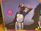 Gilberto Gil Nightingale Vinyl Record Album Lp ELEKTRA 6E-167 VG