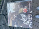 Kevin Ayers -Whatever she brings we sing LP - VG+ -- R Wyatt, M oldfield