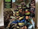 TEENAGE MUTANT NINJA TURTLES II Soundtrack LP (Waxwork Records) OOP variant NEW