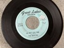 The New Era “We Ain’t Got Time” Rare 45RPM Fenton/Great Lakes Records 7 Inch 45