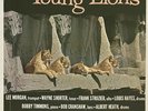 Lee Morgan Wayne Shorter The Young Lions  1961 Original  VJLP 3013 Vee Jay LP
