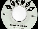 MICHIGAN GARAGE 45 - THE JADES on FENTON - SURFACE WORLD - HEAR