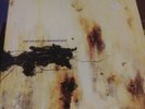 NINE INCH NAILS NIN 1994 2 VINYL GATEFOLD PROMO LP PR 5509 THE DOWNWARD SPIRAL