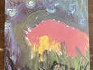 Meat Puppets II Original Vinyl Pressing SST Records (1984)