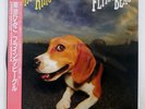 HIMIKO KIKUCHI FLYING BEAGLE CBS/SONY 28AH2240 JAPAN OBI VINYL LP
