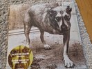 ALICE IN CHAINS  Alice In Chains  SAME  2 LP Green + POSTER - Release 2022