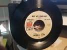 A&M promo 45 rpm 1087 doug dillard gene clark (the Byrds) WHY NOT YOUR BABY
