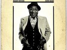 Hard Again Muddy Waters 1977 Vinyl Blue Sky Records 1st Press
