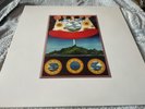 Olivia Tremor Control - Dusk At Cubist Castle - Double Vinyl.
