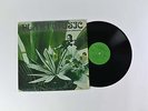 Mark E Trotta - Plant Music: Music To Grow Plants By Private Press Jazz Funk