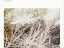 Luke Temple A Hand Through the Cellar Door (Vinyl) 12
