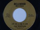 Northern Soul 45 MASTERS I'm Just A Man In Love/I've Made A Mistake on Dellwood