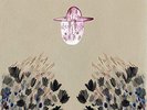 Devendra Banhart - Smokey Rolls Down Thunder Canyon - Used Vinyl Reco - Y2508z
