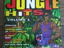 Various – Jungle Hits Volume 1 (1994) 2 x Vinyl, LP, Compilation