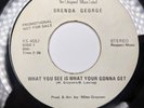 1971 Brenda George Soul PROMO 45 RPM I Can't Stand It / What See Gonna Get Z7