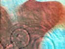 Pink Floyd Meddle LP MOBILE FIDELITY MFSL 1-190 MOFI OMR Vinyl 1/2 Speed Lmtd Ed