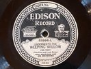 Edison 51996 Phil Napoleon Orch WEEPING WILLOW  E-/E 78 rpm jazz 1927