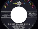 Yum Yums - Gonna Be A Big Thing - Used Vinyl Record 7 - N8100z