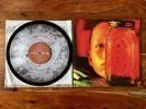 Alice In Chains RARE Jar of Flies Clear Fly Vinyl /150 In Hand