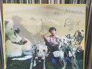 Who Cares - Limited Lenticular Cover Artwork by Rex Orange County (Signed Vinyl)