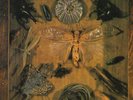 JOY UNLIMITED: Schmetterlinge (1971); Garden of Del. LP foc; 16-page insert NEU