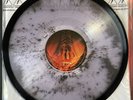 Alice In Chains Jar Of Flies - Clear Fly Filled Vinyl LP /150
