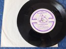 The Bleach Boys Chloroform  You've Got Nothing 1978 Punk 7