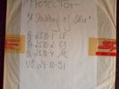 Protector A Shedding Of Skin LP  1991  Test-Pressung  Whitelabel