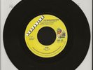 THE MASQUERADES - HOW / LESTER TIPTON - THIS WON'T CHANGE GRAPEVINE RECORDS
