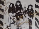 The Cramps Fully Signed 'Stay Sick' vinyl lp RARE