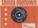 THE DETROIT SPINNERS FOR ALL WE KNOW / I'LL ALWAYS LOVE YOU TMG 627